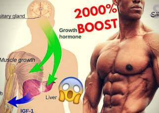 How To Naturally Increase Your Human Growth Hormone