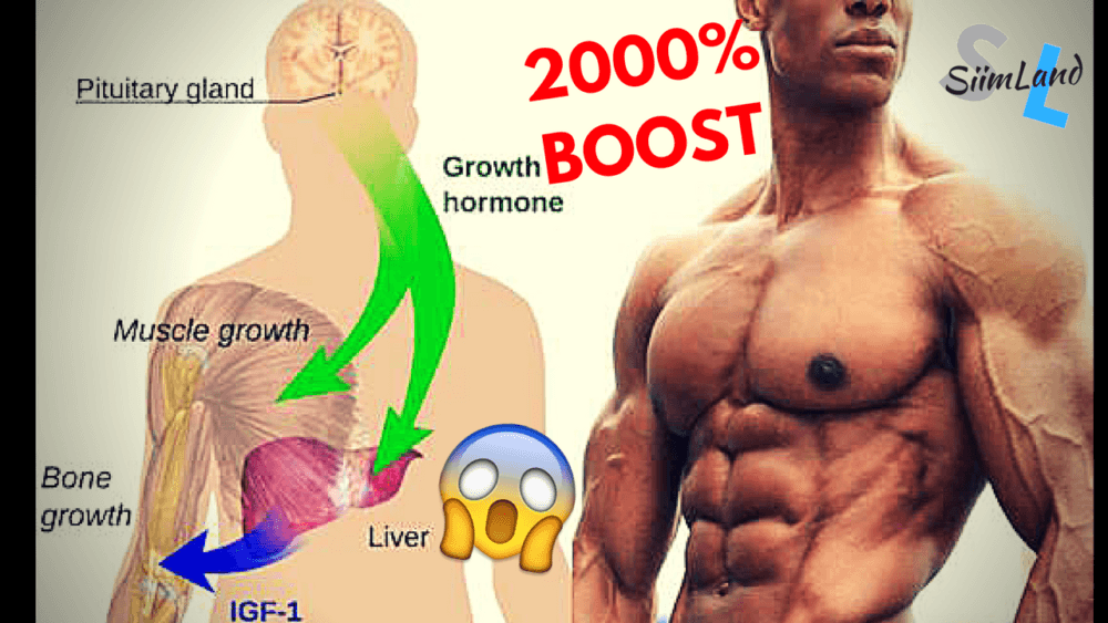 How To Naturally Increase Your Human Growth Hormone