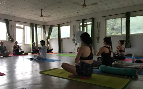 yoga teacher training in rishikesh