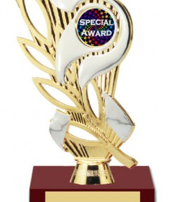 participation trophy