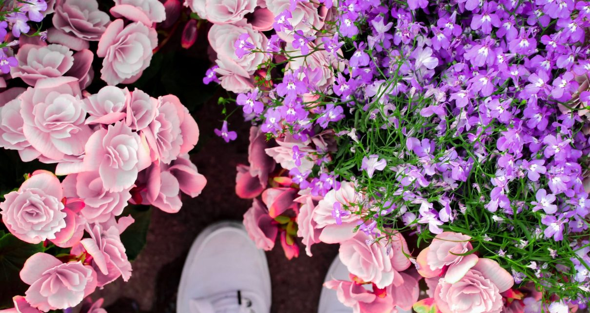 Online Flowers Delivery in UK