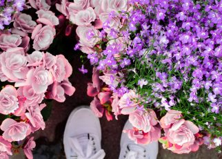 Online Flowers Delivery in UK