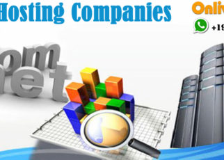 Web Hosting Company