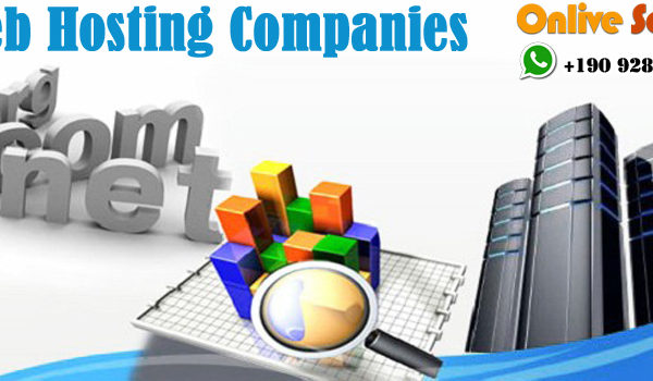 Web Hosting Company