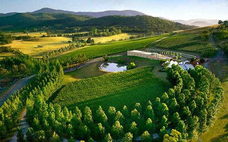 Melbourne Winery Tour