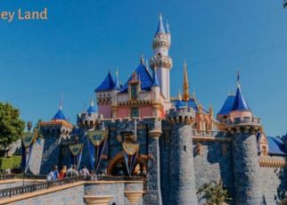 WestJet Reservations