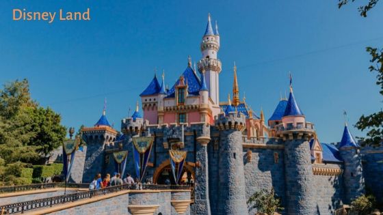 WestJet Reservations