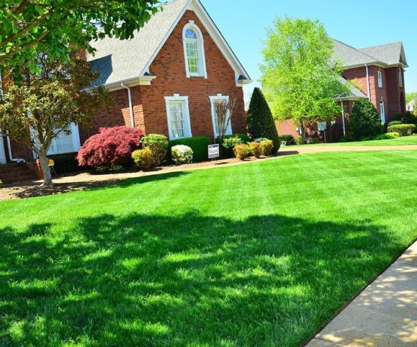 landscape design features