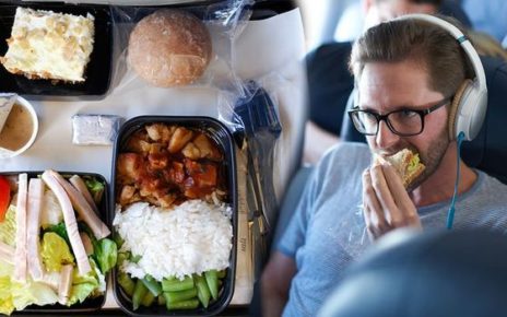 Airline Meal Information For Passengers