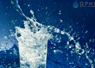 Whole house water filter