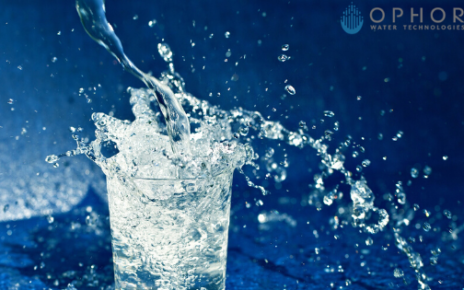 Whole house water filter