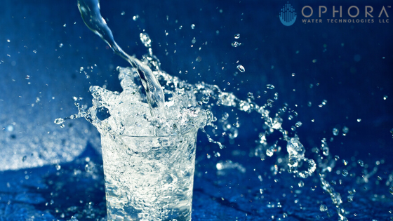 Whole house water filter