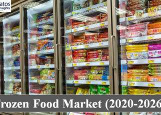 Frozen Food Market