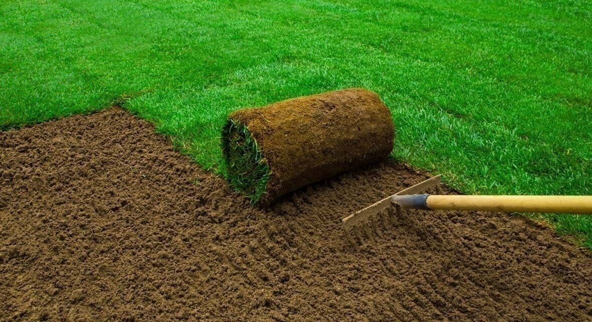 sod lawns