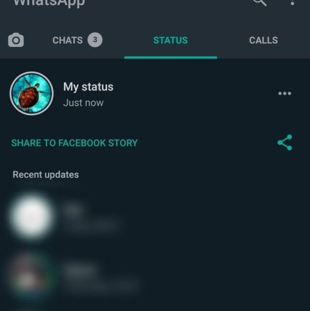 cropped-WhatsApp-status-update-scaled-1.jpg